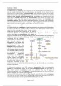 Deel 5, Hoofdstuk 5: NSAIDs