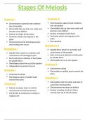 OCR A/AS-Level Biology 2.6.3 Stages of Meiosis