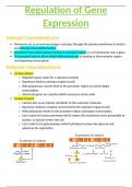 OCR A-Level Biology 6.1.2 Regulation of Gene Expression