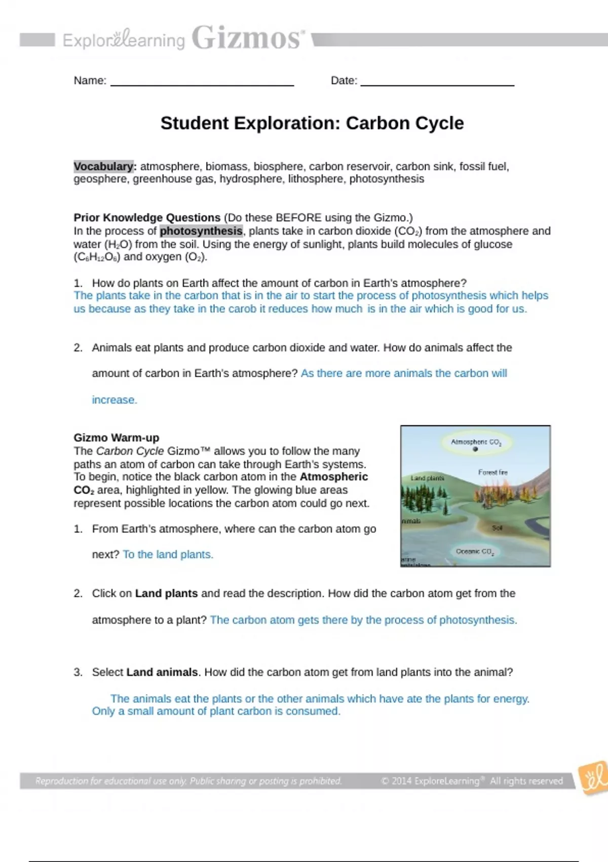 Gizmos Exploration- Carbon Cycle - RN- Nursing - Stuvia US