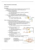 Samenvatting van de module neurofysica en het hormoonstelsel 