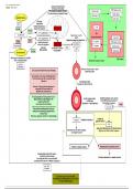 Intrinsic and Extrinsic apoptosis pathway