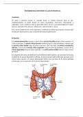 Enfermedad diverticular (diverticulosis) resumen