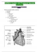 NURS 612 Cardiac and Peripheral Vascular worksheet NEWLY UPLOADED WITH BEST EXPLANATIONS