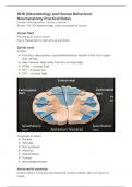 NHB (Neurobiology and Human Behaviour) Neuroanatomy Memory Aids