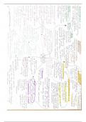 OCR Religious Studies A Level - Ethics Mind Maps