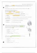 Unit 1 Lesson 1: Sampling and Data