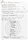 Maths square, and square root,rational numbers,exponents,stubia