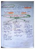 Class notes Chemistry  Chemistry : Textbook For Class Xii