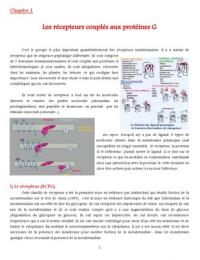 Les différents types de signalisation (récepteurs couplés aux protéines G, à activité tyrosine kinase ...)