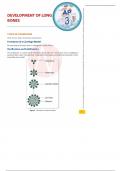 A&P--Development of Long VBones