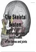 The Skeletal System Full Nursing Notes BSN.