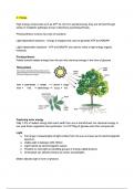 Biology Grade 12 - Unit 4 - Chapter 4 Notes