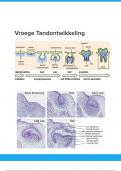 Tandheelkunde vroege tandontwikkeling