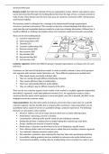 Samenvatting Business Model Generation -  Business Model Canvas