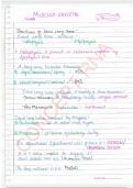 MUSCULO SKELETON SYSTEM Complete Handwritten Notes