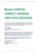 Exam (elaborations) Burns 