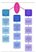 NR 503 Week 7 Concept Map Outcomes and Competencies