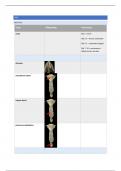 Anatomie 4, dissecties: samenvatting thorax