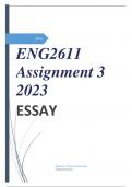 ENG2611 Assignment 3 2023