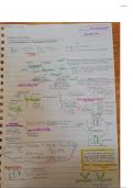 Enthalpy and Entropy- the basics