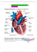 Pathophysiology Exam March 2023 by Bestexaminer Anatomy of the heart: Lies obliquely in mediasti