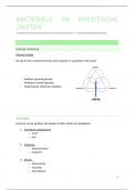 Bacteriële en Mycotische Ziekten en Zoönosen - samenvatting
