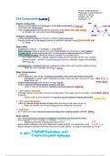 Biology (12th grade): Biochemistry unit 