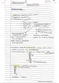 BEST NEET TOPPERS BIOLOGY HANDWRITTEN NOTES