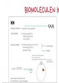 Metabolisme - Overzicht biomoleculen