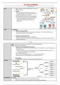 Samenvatting moleculaire biotechnologie 2022-2023 - 3e bachelor