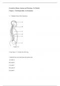 Study Efficiently with the Updated 2023 [Essentials of Human Anatomy _ Physiology,Marieb,12e] Test Bank