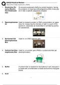 BACE Practical Review Rated 100% Correct!!