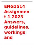 ENG1514 Assignment 1 