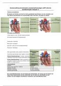 Samenvatting -  kennistoets Anatomie en Fysiologie Interne Aandoeningen 