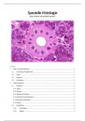 Zusammenfassung Spezielle Histologie