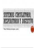 Sistemas digestivos,circulatorio y respiratorio - BIOLOGIA 