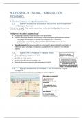 Biochemie 2 : hoofdstuk 20 : samenvatting