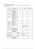 Pharmacy Technician notes 