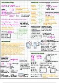 Physics Second Semester Summary Notes