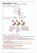 Gastrointestinal Tract Secretions and Regulation 