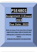 PSE4801 ASSIGNMENT 3 2023 ESSAY