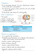 PHYSIOLOGY AND ANATOMY; Hypothalamus.