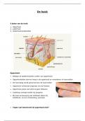 Samenvatting -  Toegepaste biologie (de huid)