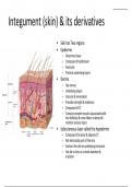 BIOL 1334 Unit 2 Integument (skin) & its derivatives (Latest-2023) Human anatomy and physiology University of Houston 100% Correct Answers, Download to Score A