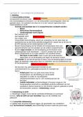 verpleegkundig redeneren en handelen verdiepend 6 - neurologische problemen
