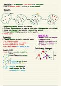 Speciation and Genetic Drift