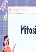 Summary of Mitosis - Inspire Biology