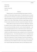 American lit final essay