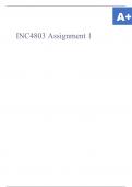 INC4803 Assignment 1.